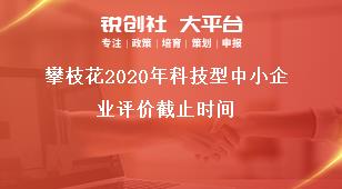 攀枝花2020年科技型中小企業(yè)評價截止時間獎補(bǔ)政策