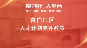 青白江區(qū)人才計劃相關配套獎補政策