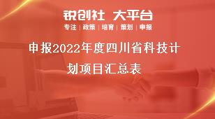 申報(bào)2022年度四川省科技計(jì)劃項(xiàng)目匯總表獎(jiǎng)補(bǔ)政策